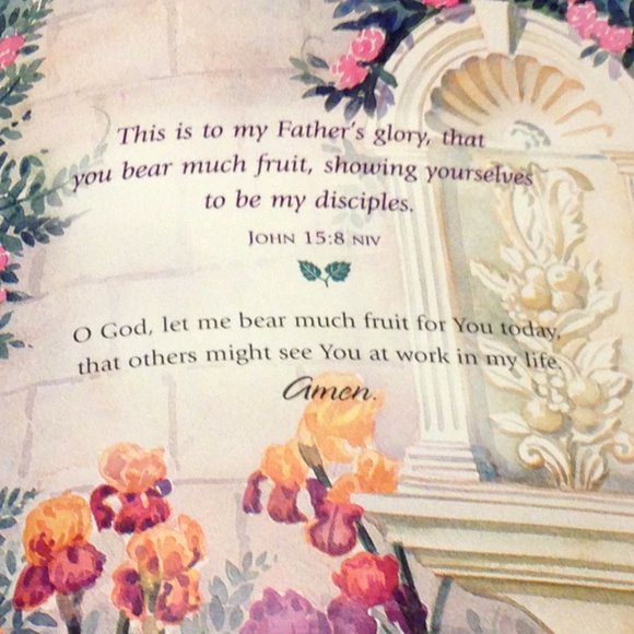 3 for $10 book sale! Bible Inspiration - Gifts from my Garden - Picture 4 of 8